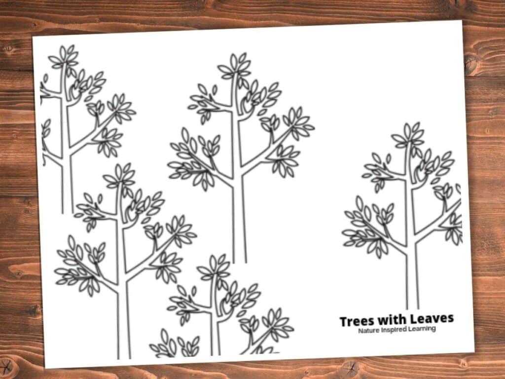 Printable fall tree coloring pages