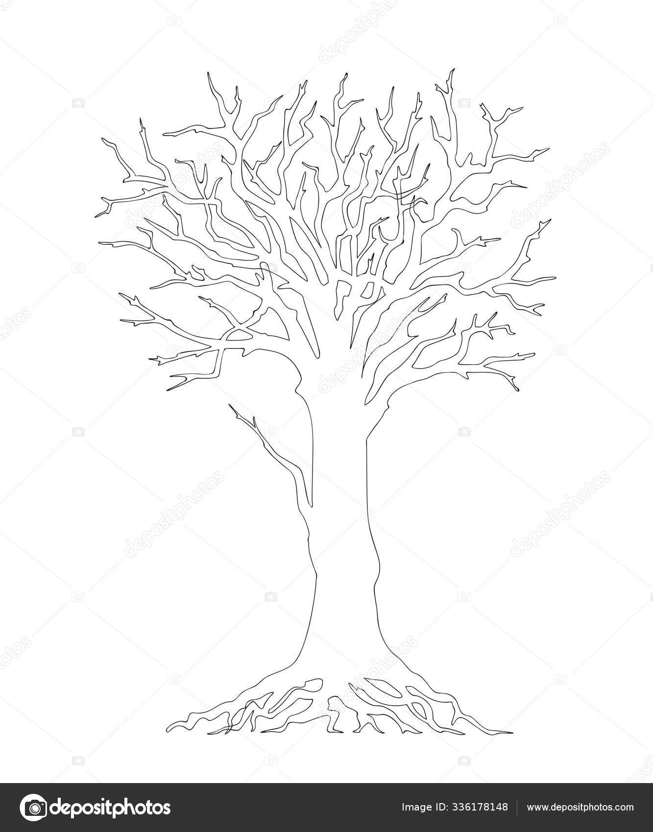 Tree without leaves black outline stock vector by sliplee