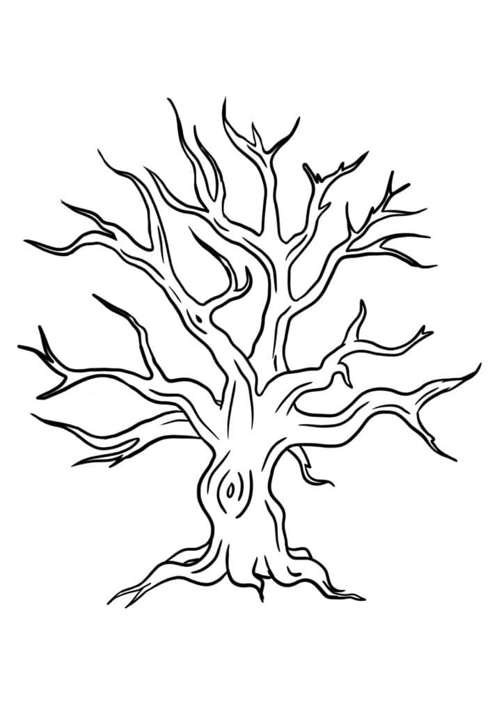 Tree template without leaves free printables