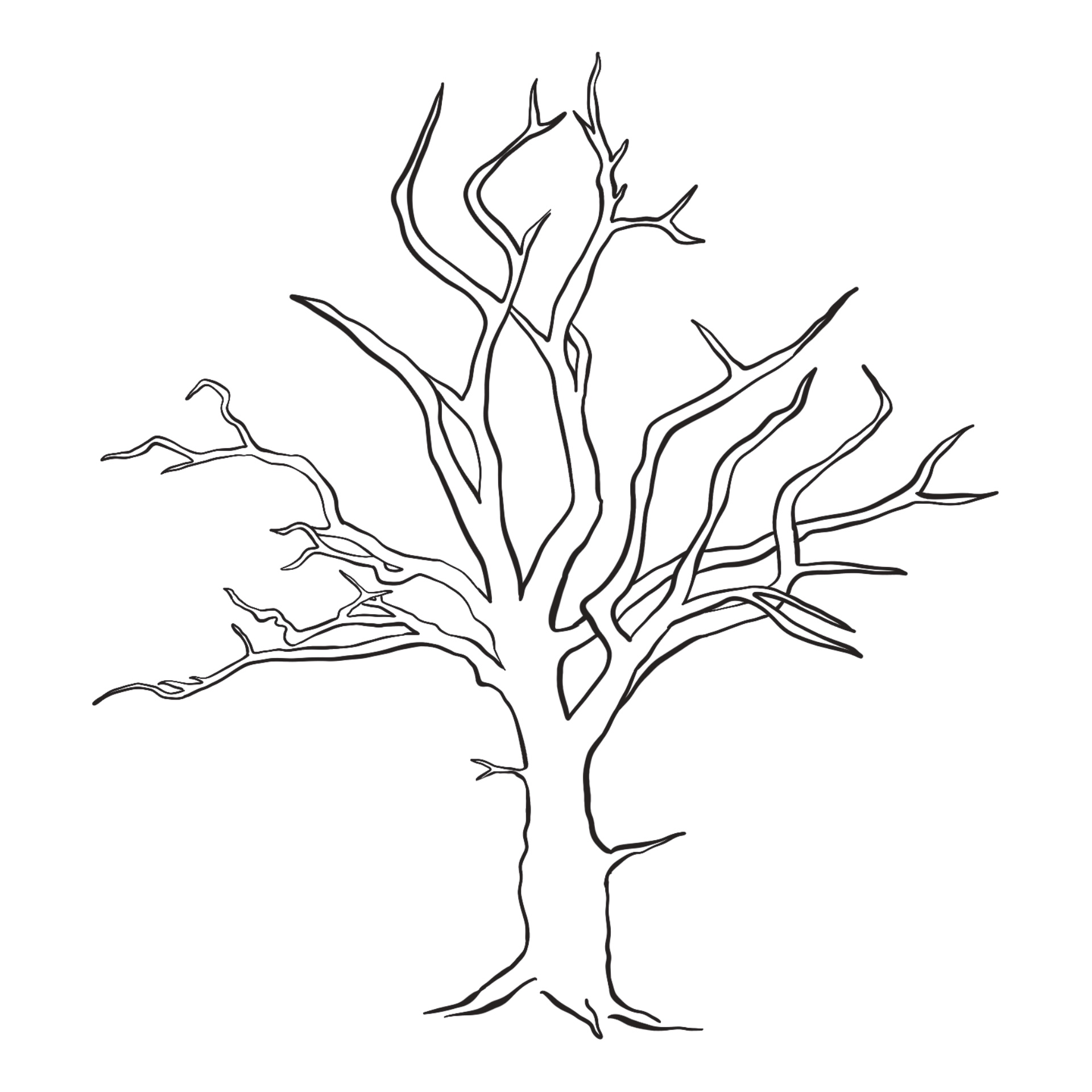 Best free printable tree without leaves pdf for free at