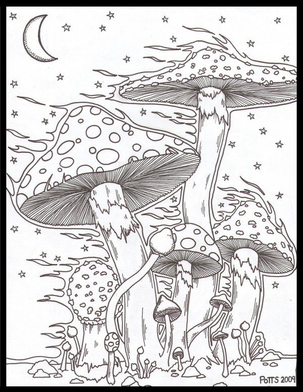 Pin on pencil drawing