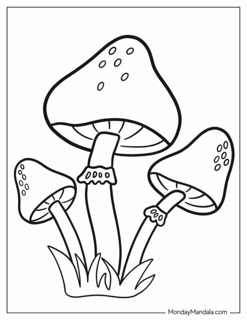 Mushroom coloring pages free pdf printables