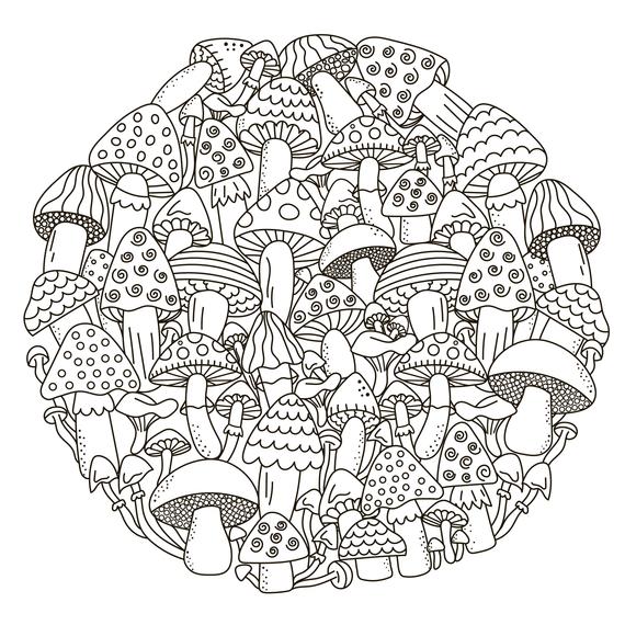 Mushrooms coloring book