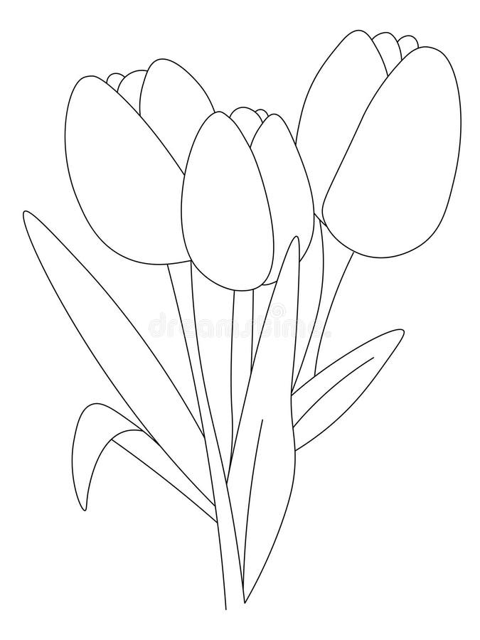 Tulip coloring page stock illustrations â tulip coloring page stock illustrations vectors clipart