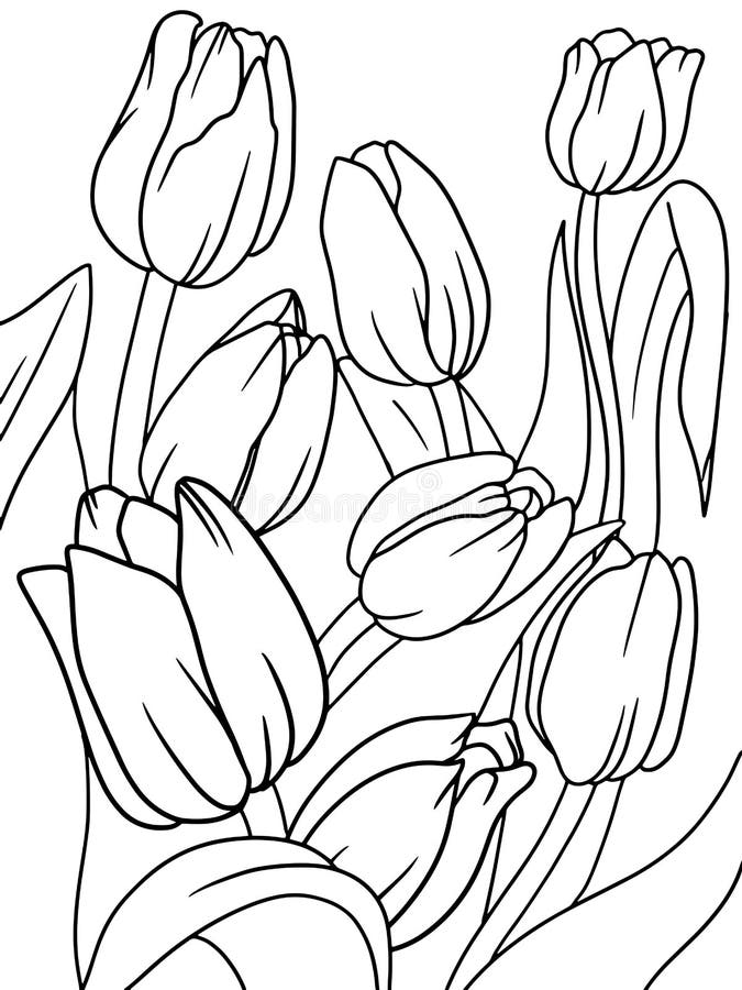 Coloring tulip plant flower outline raster page outline of cartoon stock illustration