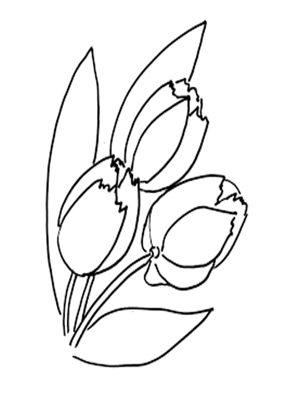 Coloring pages printable tulip coloring pages