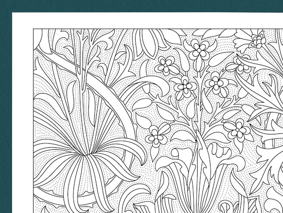 Tulip garden adult coloring page william morris detailed printable pdf art nouveau illustration digital download coloring book