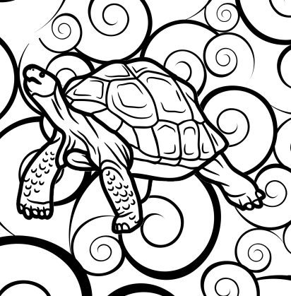 Turtle coloring book for kids made by teachers