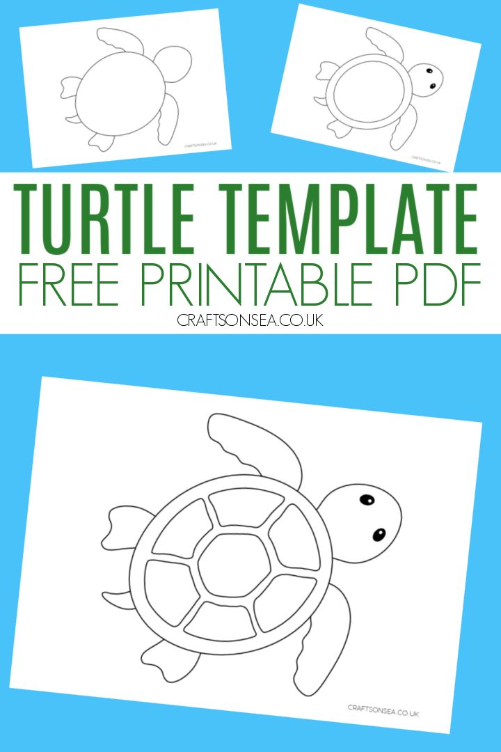 Turtle template free printable pdf sea turtle quilts turtle crafts turtle activities