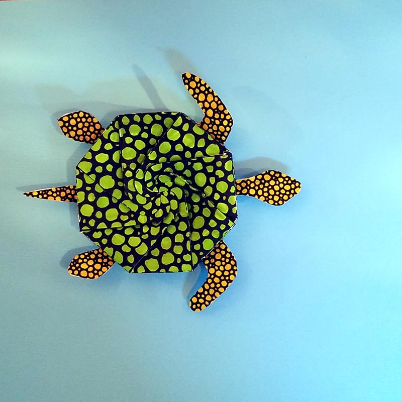 Turtle template coloring page for adults moms and crafters