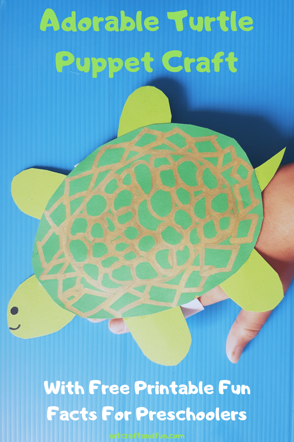 Adorable turtle craft for toddlers