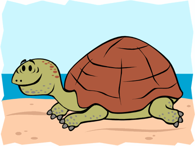 Tortoise turtles and sea turtles preschool lesson plan printable activities and crafts