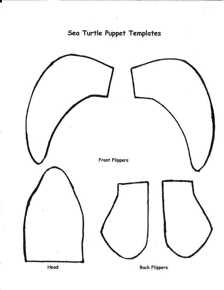 Sea turtle puppet template turtle crafts sea turtle craft turtle activities