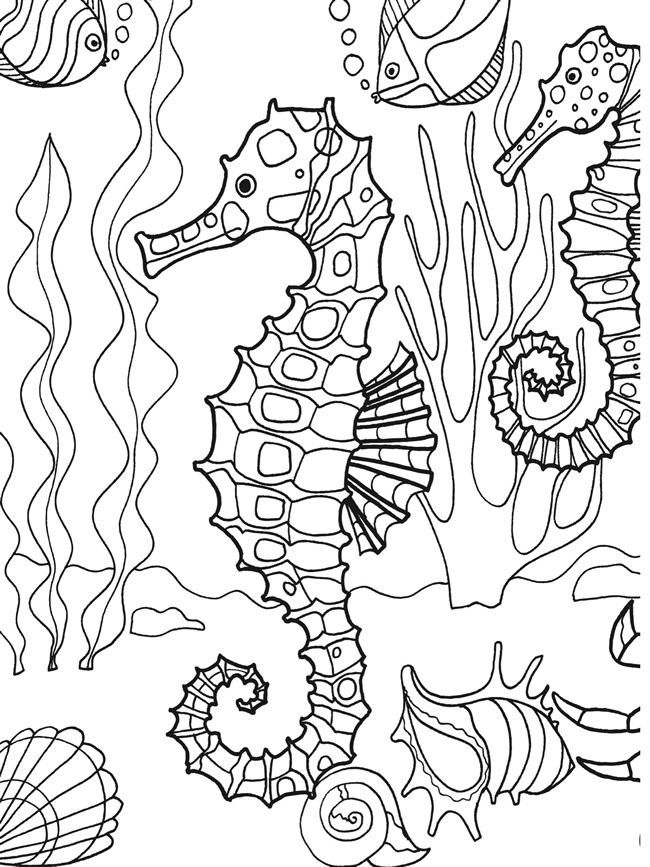 Dive into under the sea coloring pages by dover publications