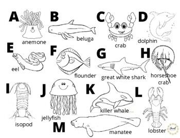 Abcs of the sea coloring page abc coloring pages abc coloring ocean alphabet