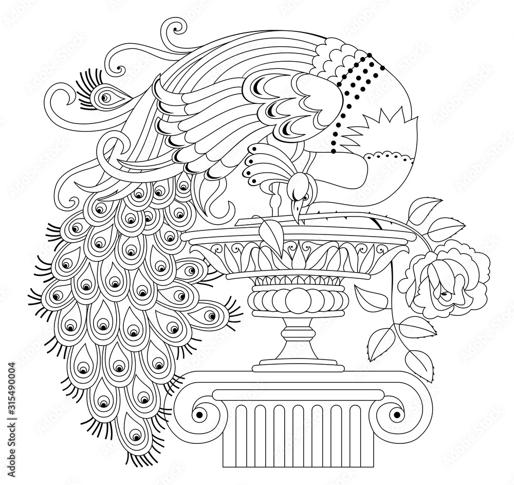 Illustration of beautiful peacock with rose and antique vase black and white page for kids coloring book pattern for modern print embroidery decoration fantastic bird hand