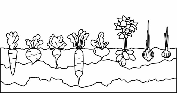 Colouring pages farm images â browse photos vectors and video