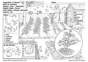 Educational green gardening colouring pages â little green blog