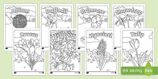 Spring flower louring pages teacher made