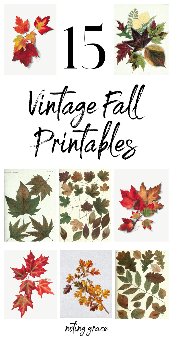 Free vintage fall printables