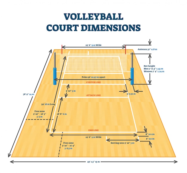 Premium vector volleyball court dimensions size guide illustration layout scheme