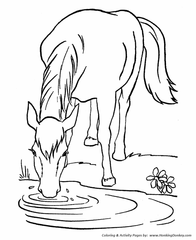 Horse coloring pages printable lead a horse to water coloring page
