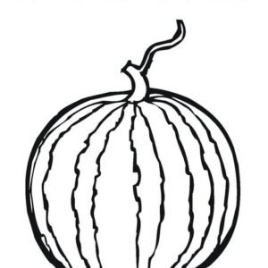 Watermelon coloring page printable for free download