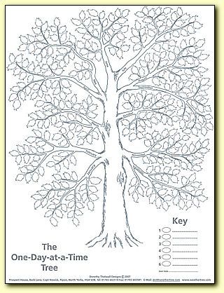 Weather trees a magical childhood nature school nature journal nature education