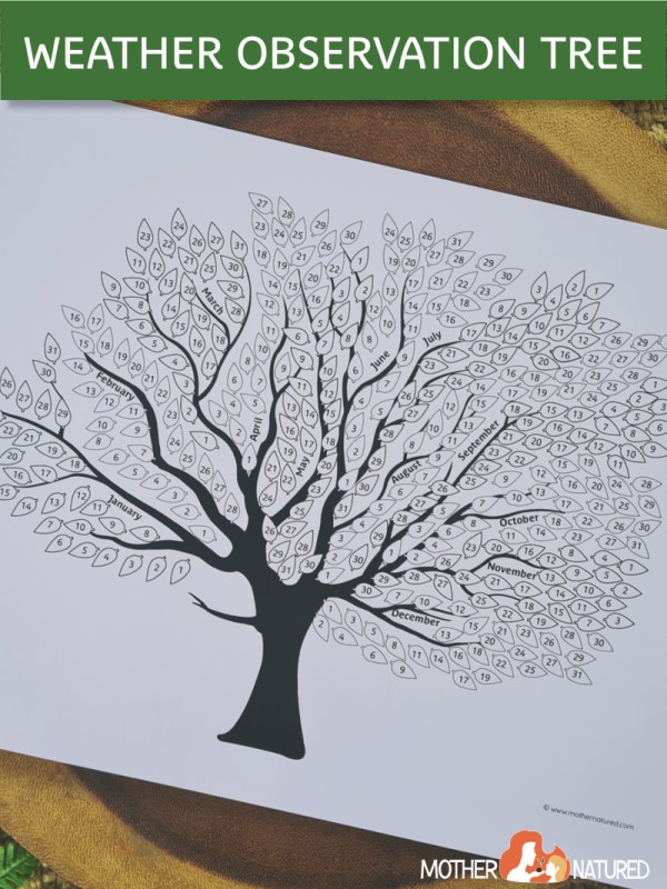 Weather observation tree