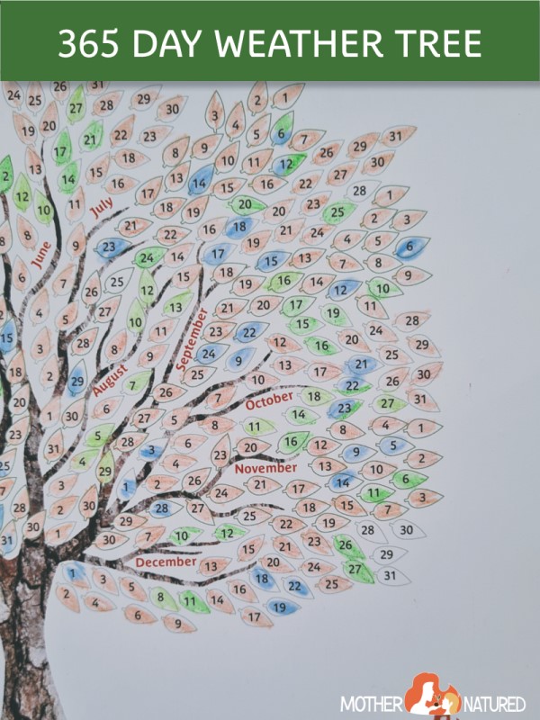Weather observation tree