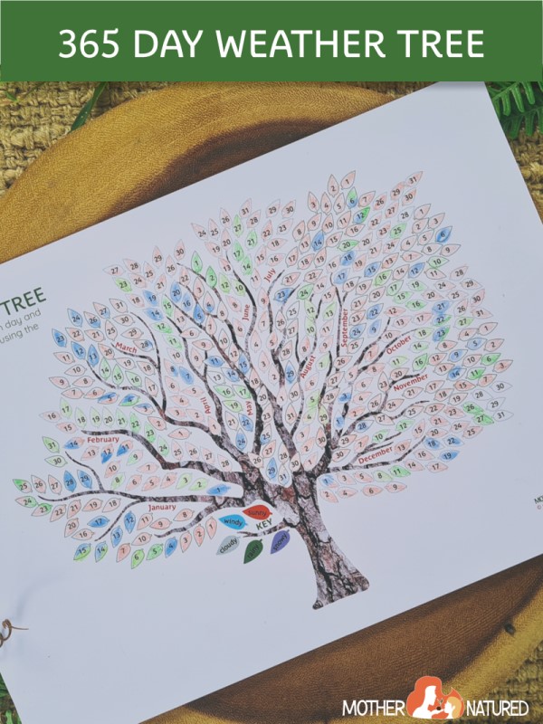 Weather observation tree