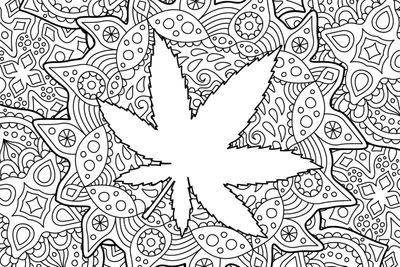 Color me cannabis stay highly entertained with these