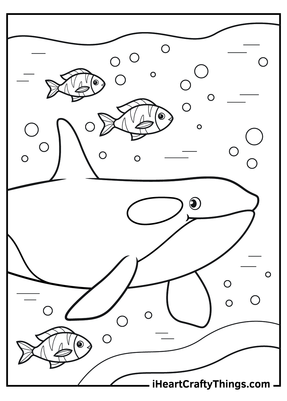 Killer whale coloring pages free printables