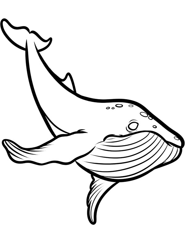 Printable coloring page whale