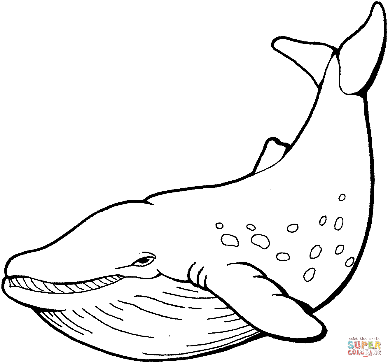 Whale coloring pages printable for free download