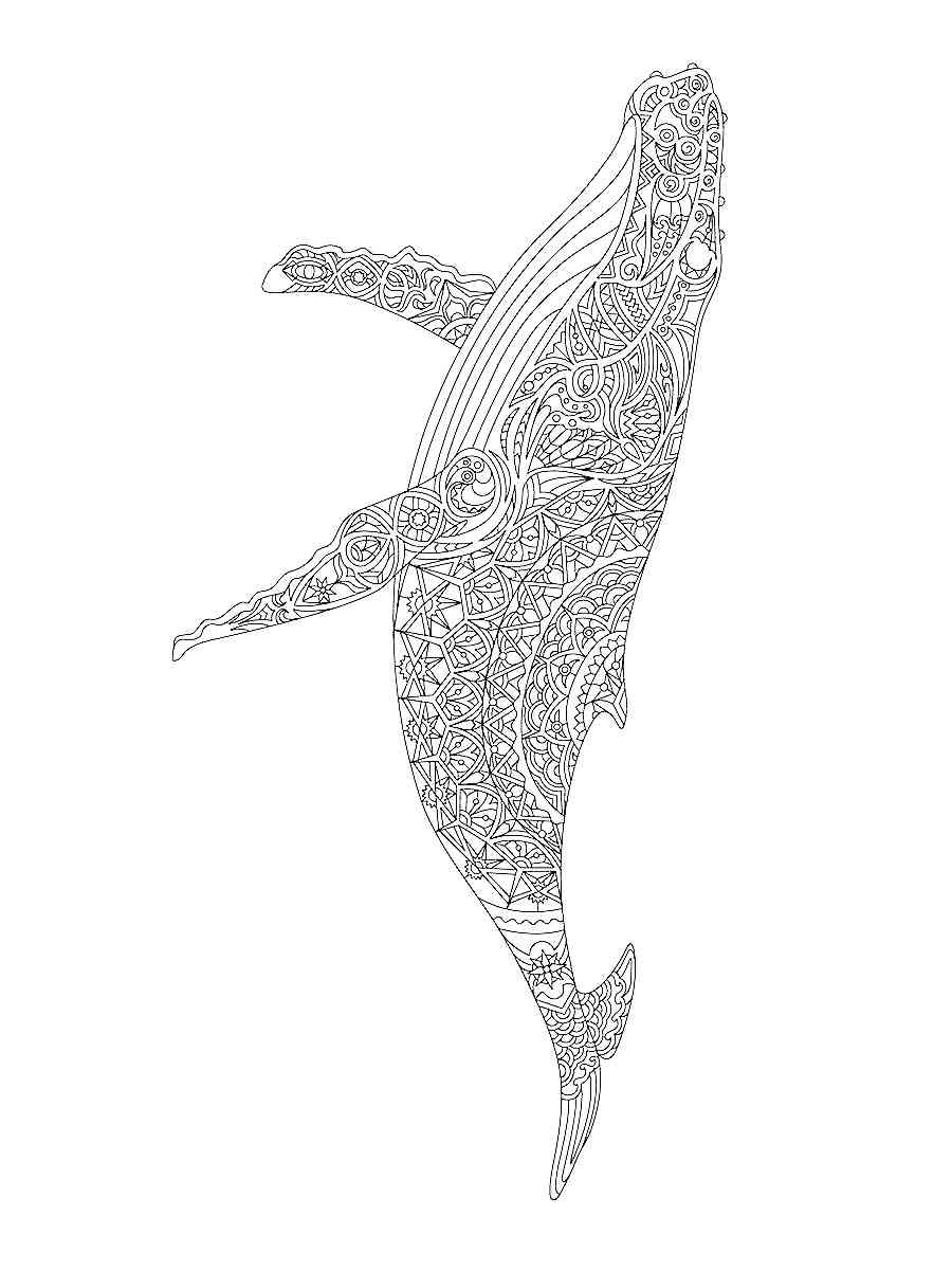 Whale coloring pages for adults