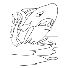 Printable whale coloring pages your toddler will love