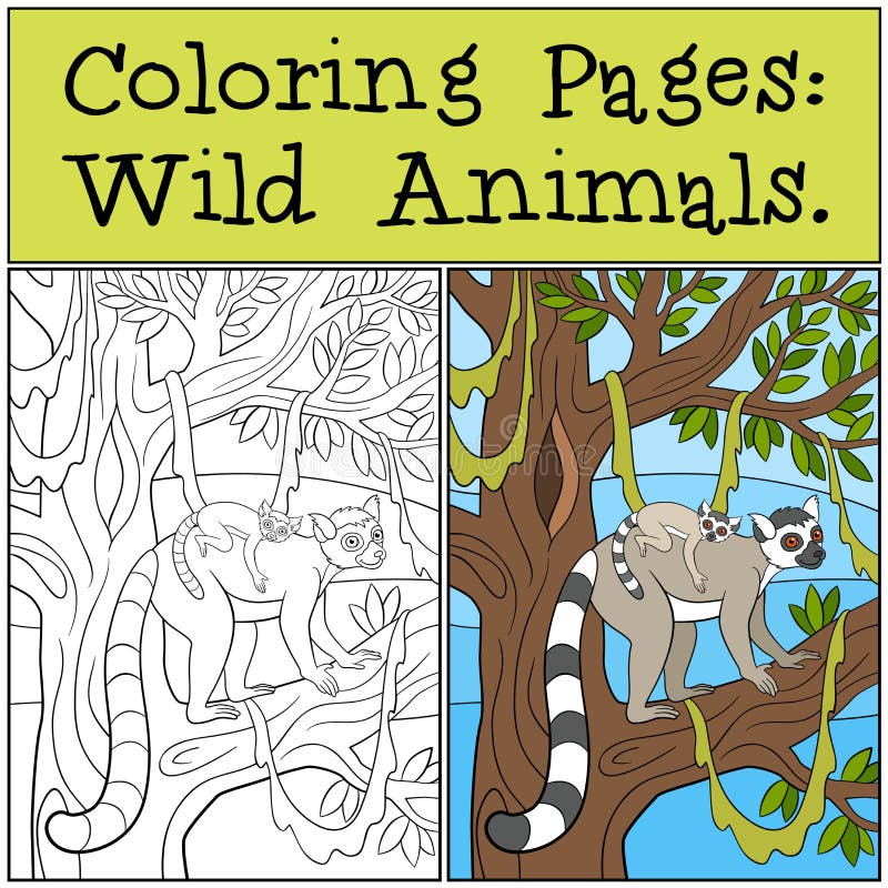 Coloring pages wild animals mother lemur with her baby stock vector
