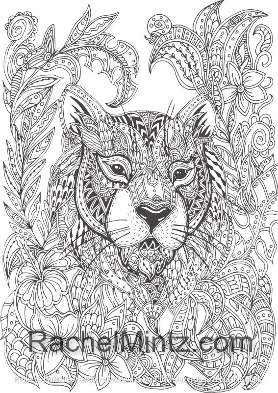 Animals nirvana