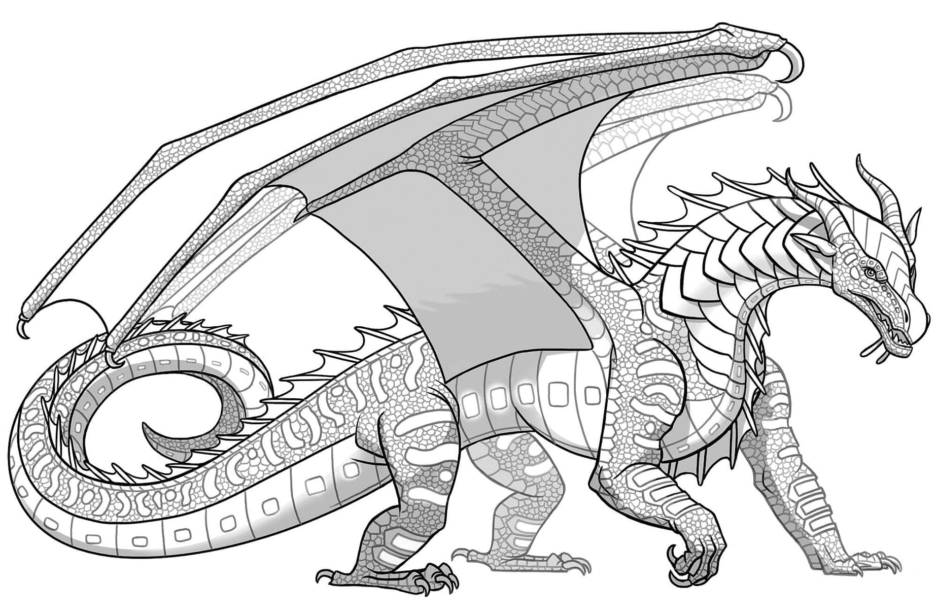 Wings of fire coloring pages