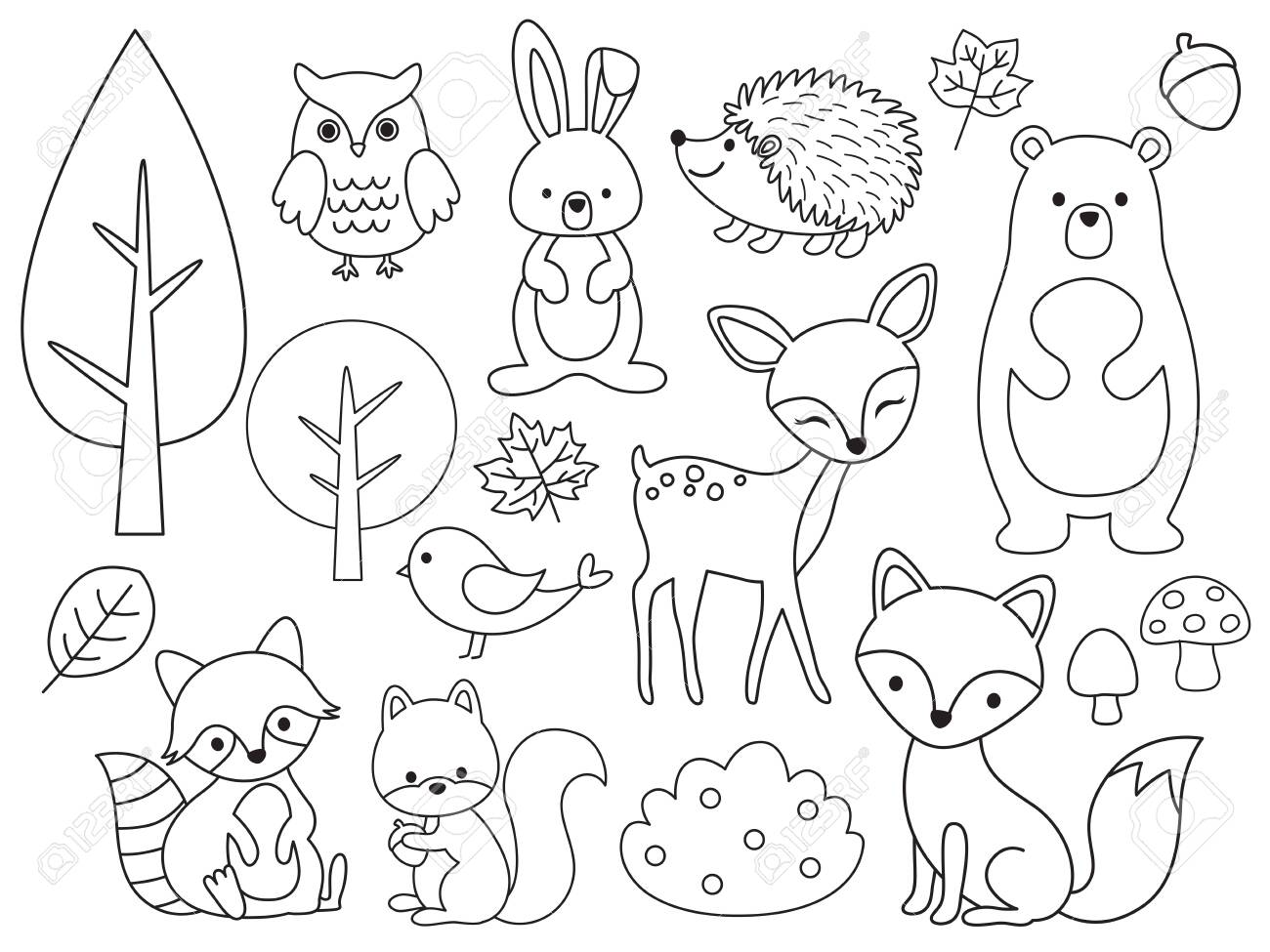 Vector line set of woodland animals animal outline for coloring including bear deer fox rabbit raccoon squirrel hedgehog owl bird royalty free svg cliparts vectors and stock illustration image