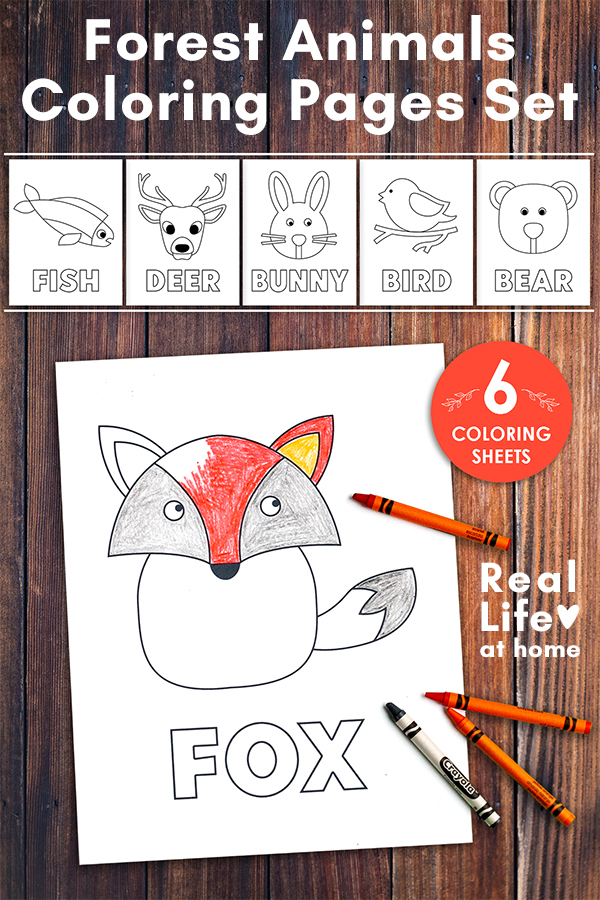 Woodland animals coloring pages set coloring pages