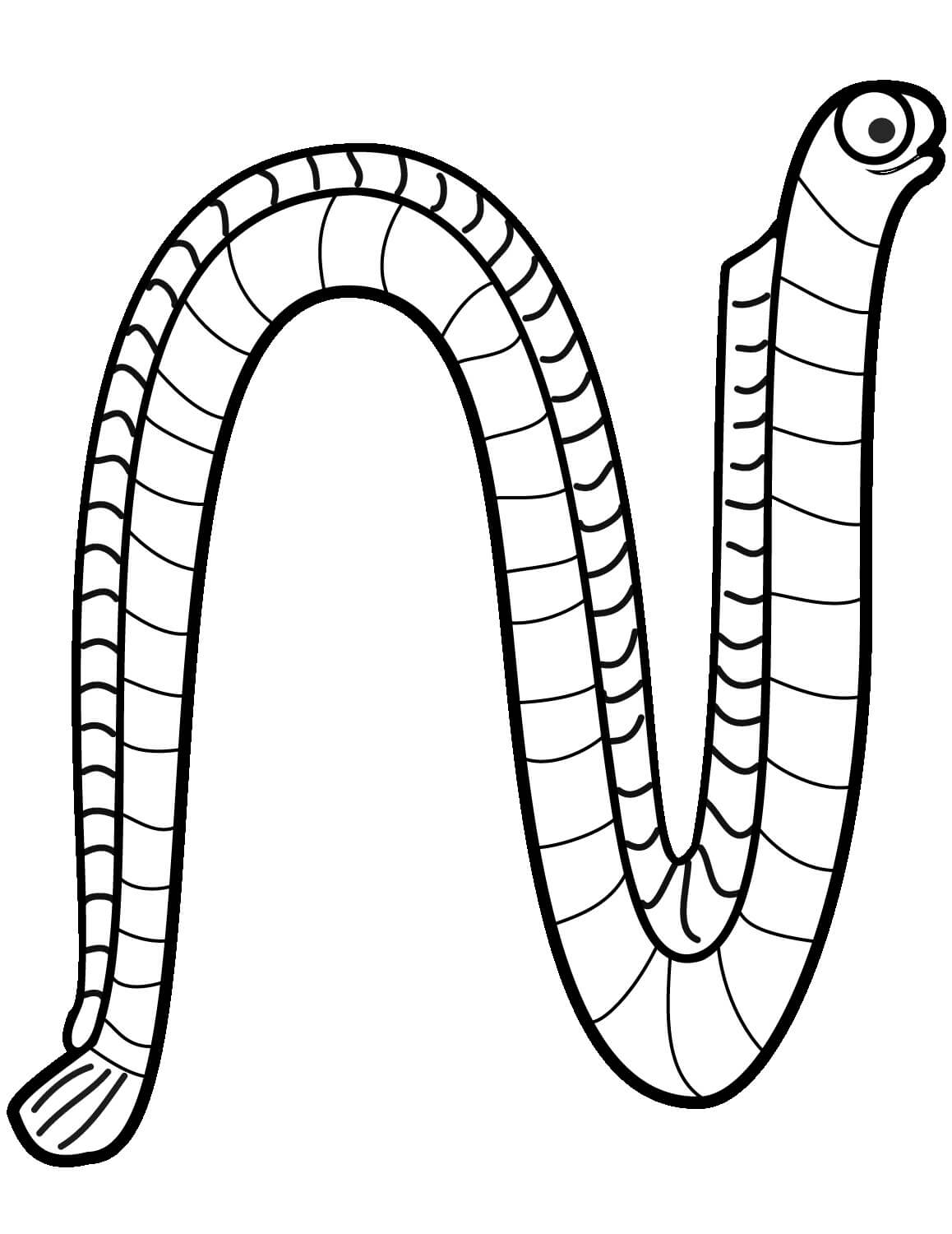 Worm coloring pages