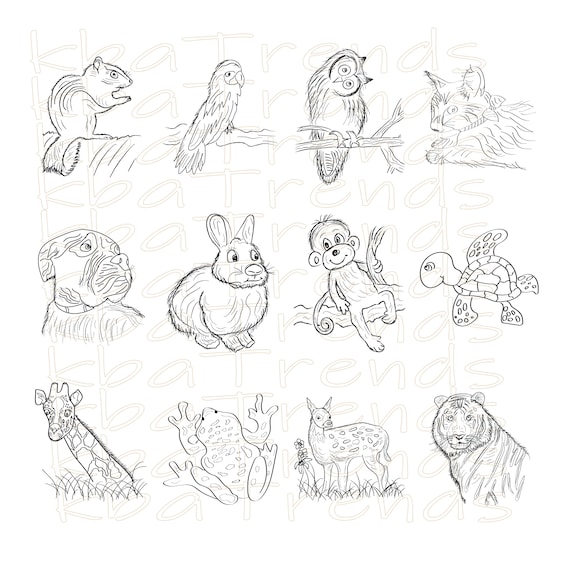 Zoo animals wildlife to color digital art coloring pages for kids printable coloring book of animals coloring book amphibians safari art