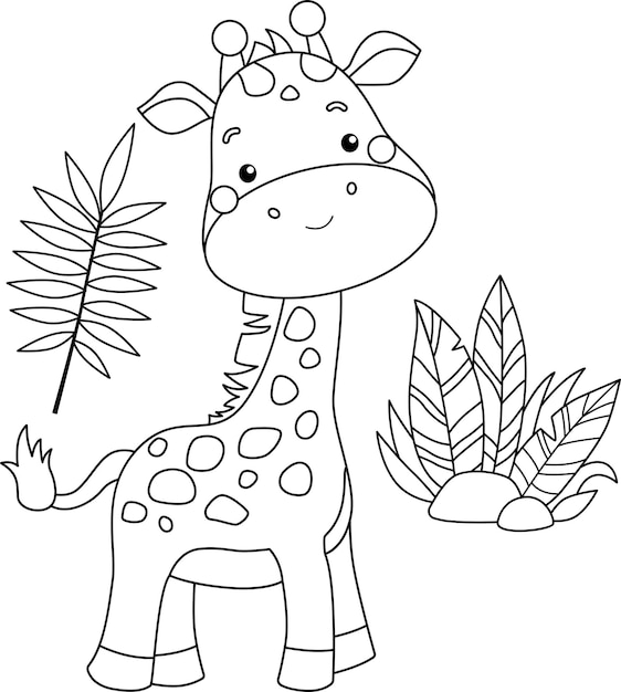 Zoo animals coloring pages images