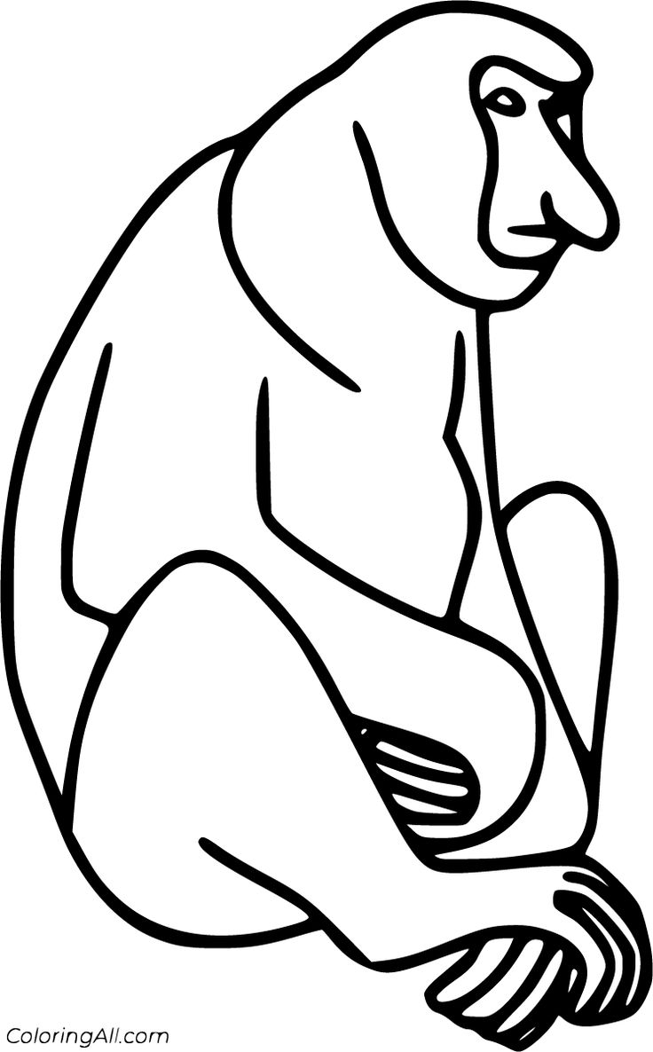 Free printable proboscis monkey coloring pages easy to print from any device and automatically fâ monkey coloring pages coloring pages elephant coloring page
