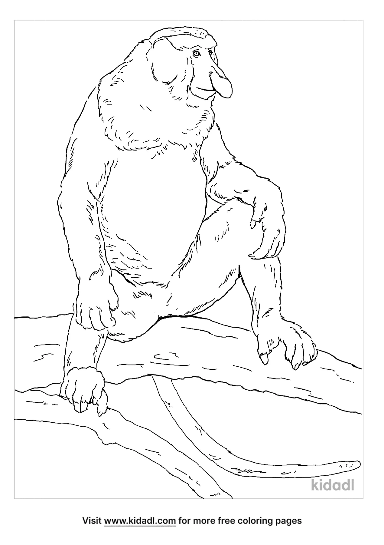 Free proboscis monkey coloring page coloring page printables