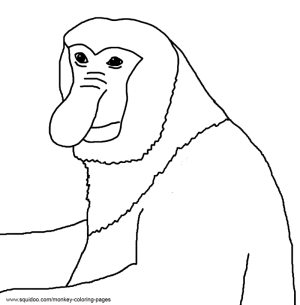 Monkey pictures and coloring pages monkey pictures monkey coloring pages proboscis monkey