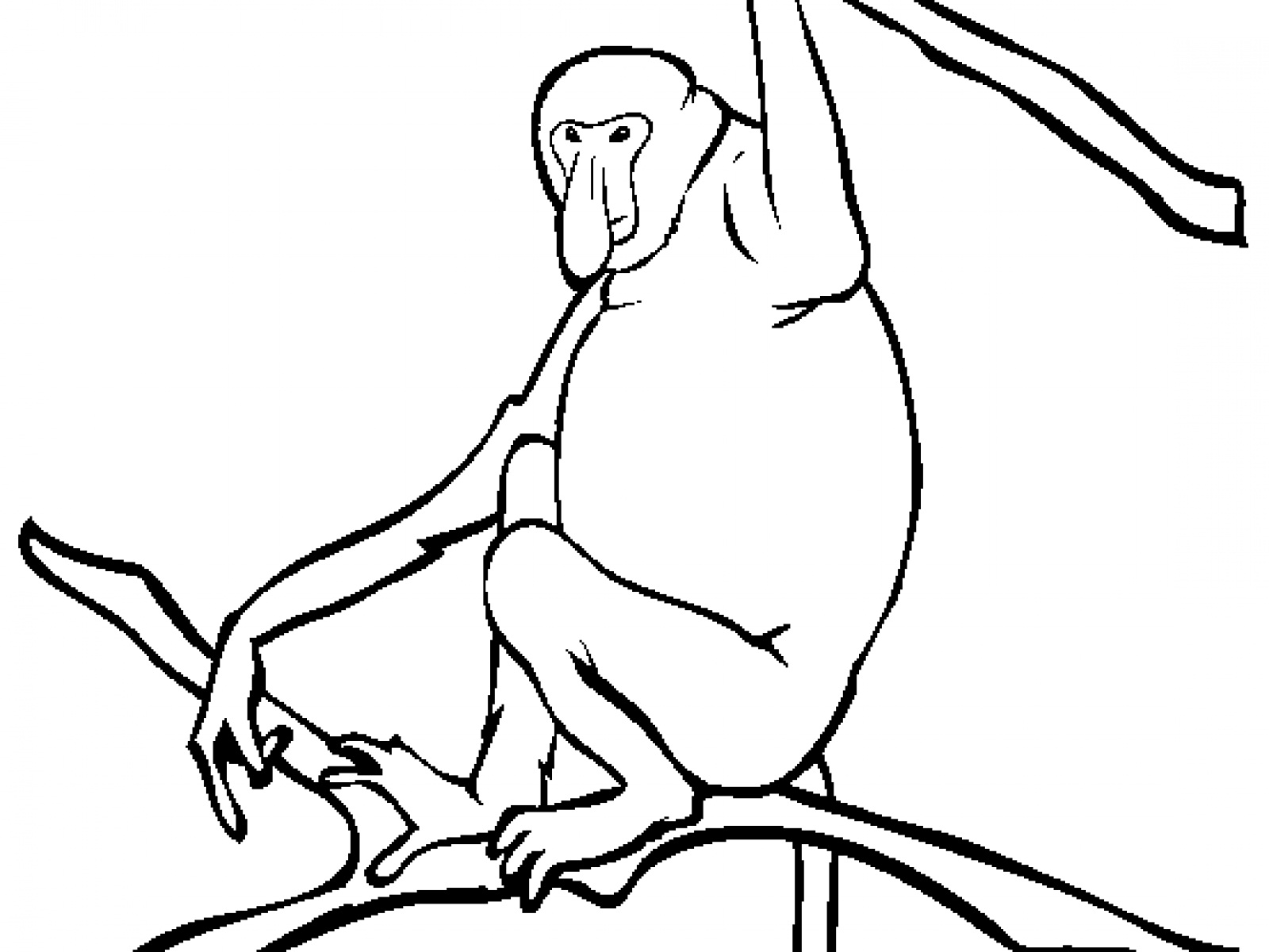 Free printable monkey coloring pages for kids