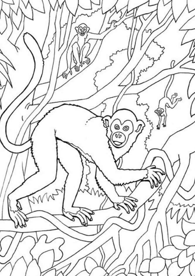 Free easy to print monkey coloring pages